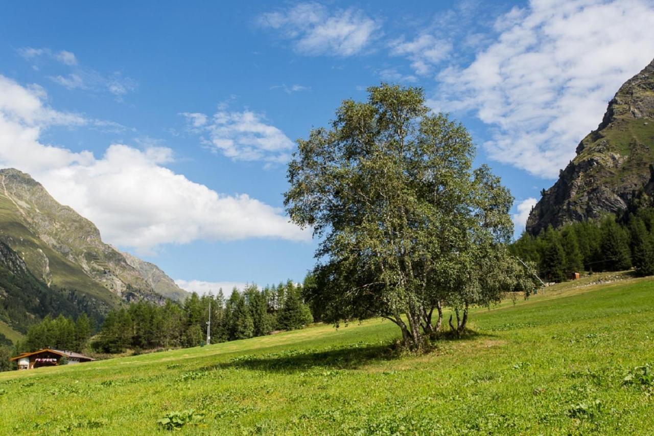 Pension Mittagskogel ザンクト・レオンハルト・イム・ピッツタール エクステリア 写真
